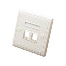 Single Piece Dual Port Unloaded Face Plate
